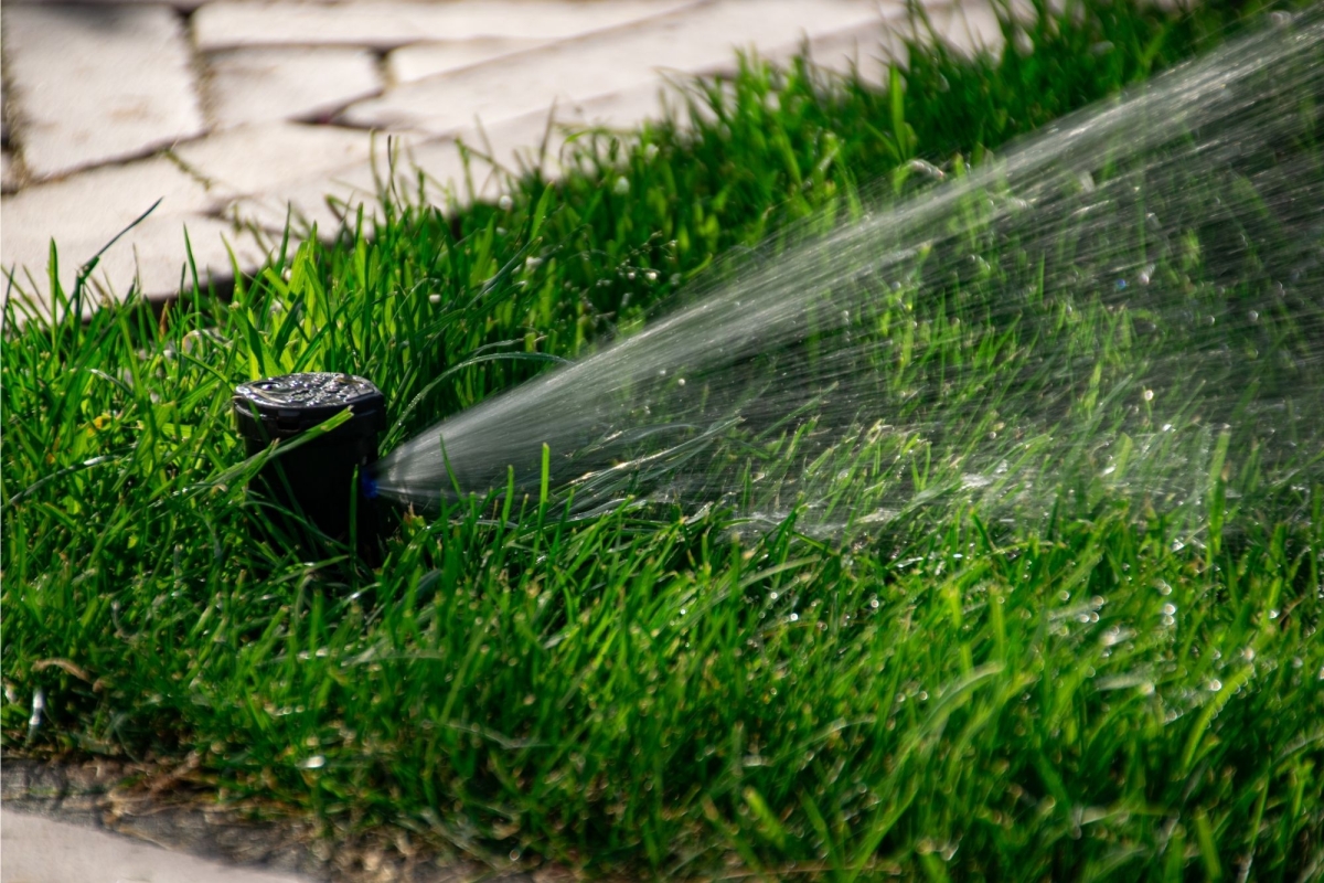 Tuinberegening in de tuin